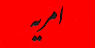 امریه 2
